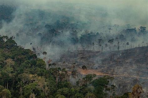 브라질 아마존 열대우림 파괴